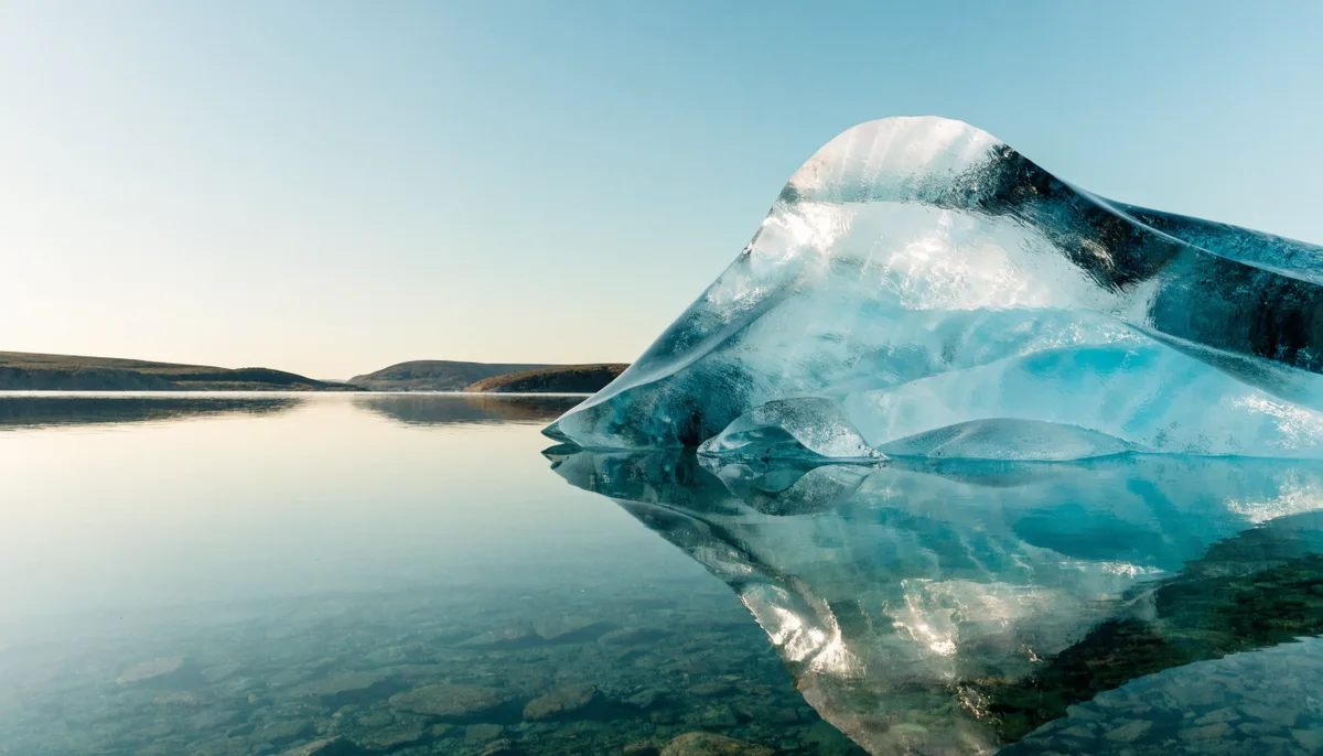 Cool Facts That You Haven't Heard
