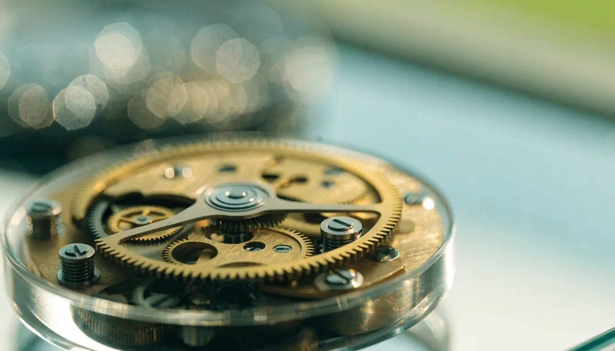 Top 5 Most Expensive Watch Brands